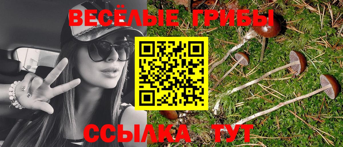 Йошкар-Ола  Галлюциногенные грибы прущие грибы  Вход с VPN 